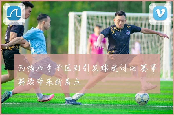 西梅和李子区别引发球迷讨论 赛事解读带来新看点