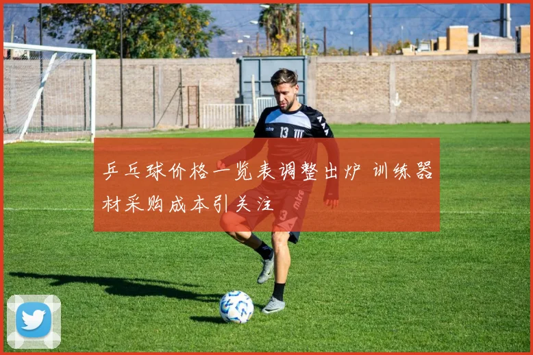乒乓球价格一览表调整出炉 训练器材采购成本引关注